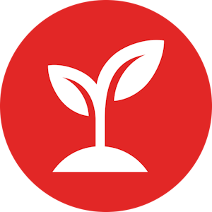 PACIFIC RESERVE - Rank Bull Teen Starter Clone - Pacific Reserve