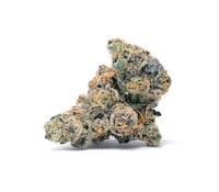 Sense | Yuzu Sour | 3.5g