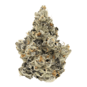 Sense | Tokyo Fuzz | 3.5g