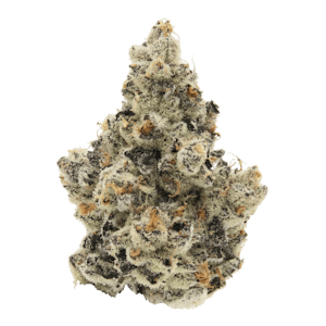 SENSE - Sense | Tokyo Fuzz | 3.5g