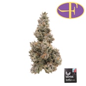 Sense Sour Diesel
