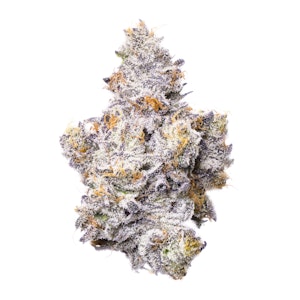 FIG FARMS - 3.5g Shady Scotty - Flower - Fig Farms