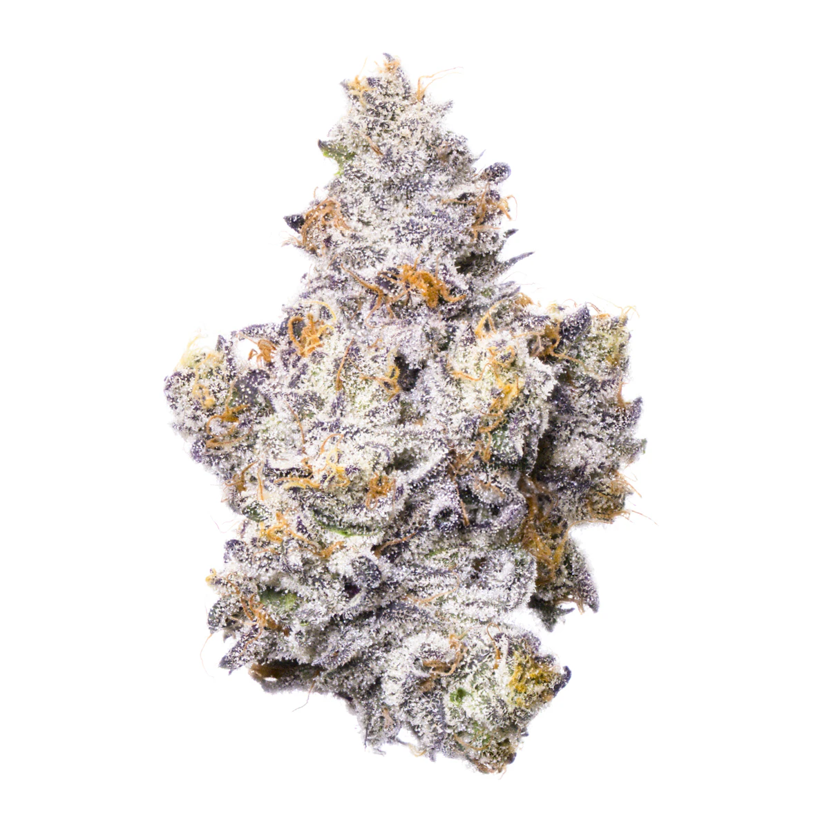 Fig Farms - 3.5g Shady Scotty - Flower - Fig Farms Main Image