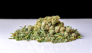 Velma's Buds || Grape Stomper || 14 Gram Shake