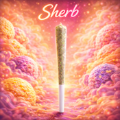 Sherb | Pre-Roll
