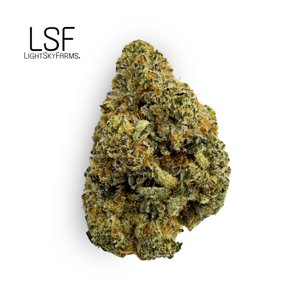Sherb Cream Pie Bulk Flower - LIGHTSKY FARMS