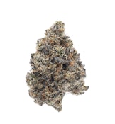 TVC | Sherb Cream Pie | Bulk Flower
