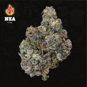 NORTHEAST ALTERNATIVES - Sherb Cream Pie Flower - 3.5g - NEA