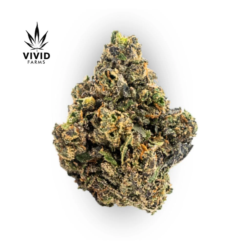 Vivid Farms - Sherb Cream Pie Bulk Flower - VIVID FARMS Main Image