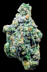 Vera Cannabis Co - Green Ganja | Sherb Cream Pie Buds