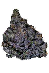 Sherb Cream Pie Buds