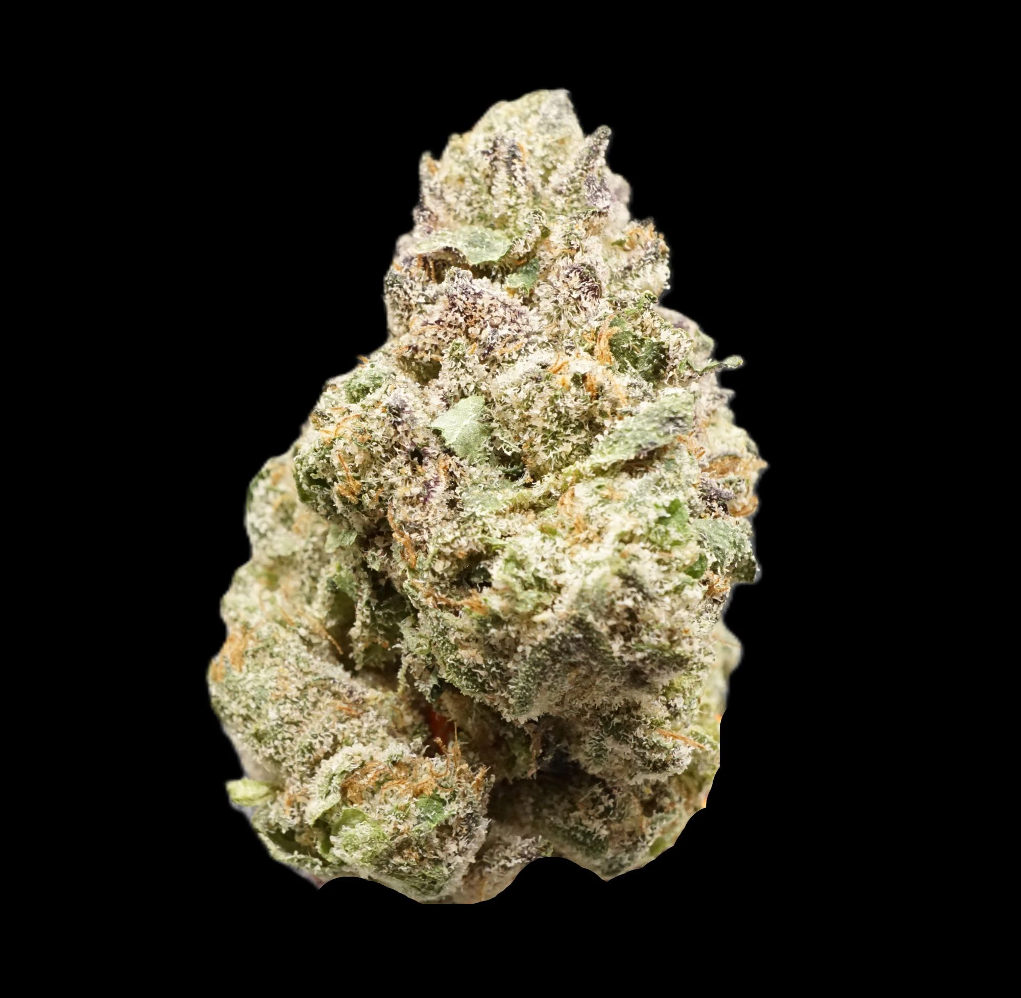 Vera Cannabis Co - Green Ganja | Sherb Cream Pie Main Image