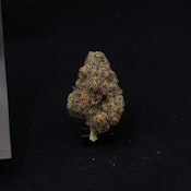 THC | Sherb Gotti