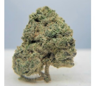 THE HEMPIRE COLLECTIVE - THC - Sherbadough Flower