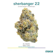 MOCA Flowers - 1/8th Mylar Bag - Sherbanger 22