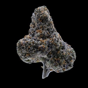 Jar Co - Jar Co. | Sherbanger | 3.5g [H]