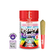 Shirley 5pk Infused Prerolls (2.5g total/.5g each) - JEETER