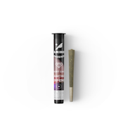 Short Cake - 1g Infused Preroll - Starbird