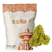 Si Señor - Pineapple OG - (S) 28g