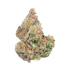Product Preview Image 2