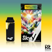Skyy | 2g Disposable | Pineapple Express | 2g