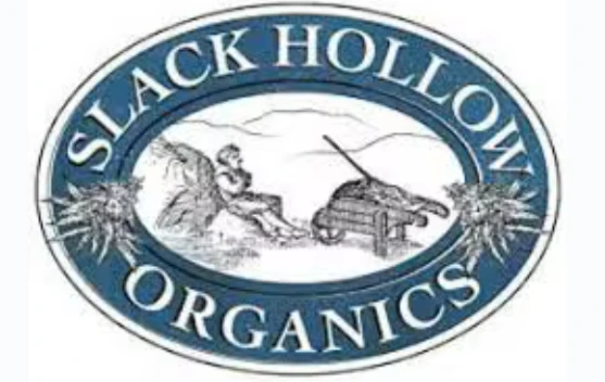 Slack Hollow - Blueberry Cupcakes - 8PK Prerolls Main Image