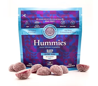TREEWORKS - Wild Berry Sleep Hummies - 100mg - TWM