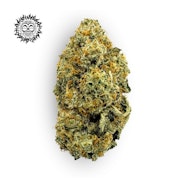 Slitherin' Bulk Flower - EFF! (FIRE ISLAND)