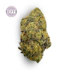 Product Preview Image 1