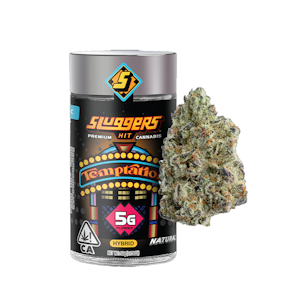 Sluggers - Sluggers | Temptation | 5g