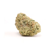 Euphoria 5g