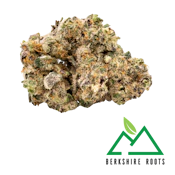 Slurricane | 3.5g Premium Flower | TAX INCLD