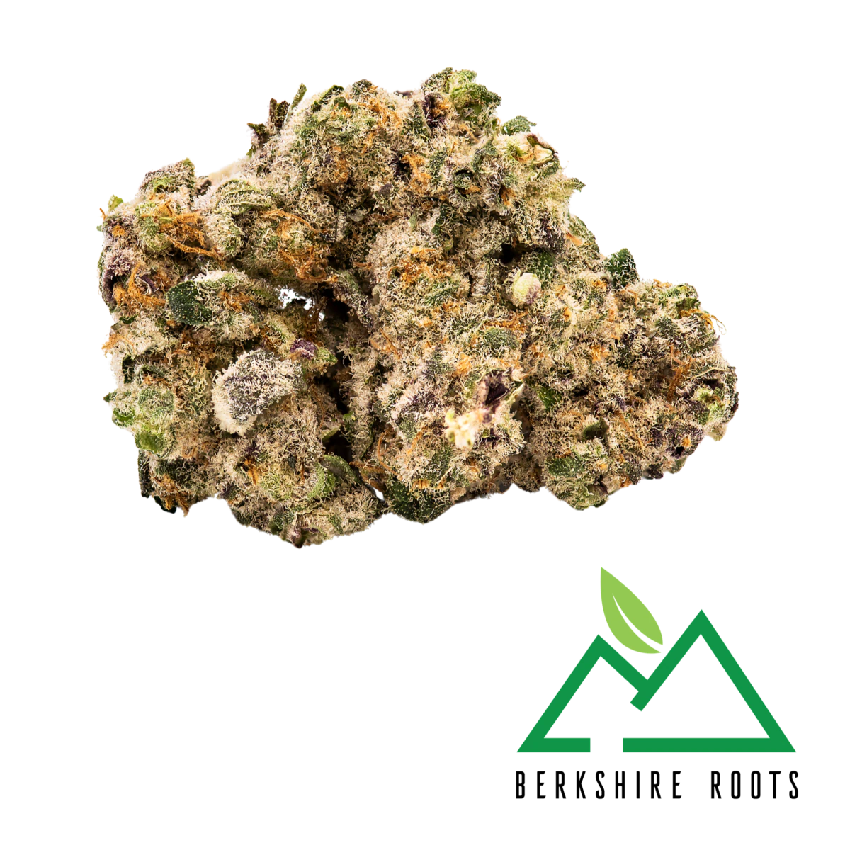 APPLE GUY FLOWERS - Slurricane | 3.5g Premium Flower | TAX INCLD Main Image