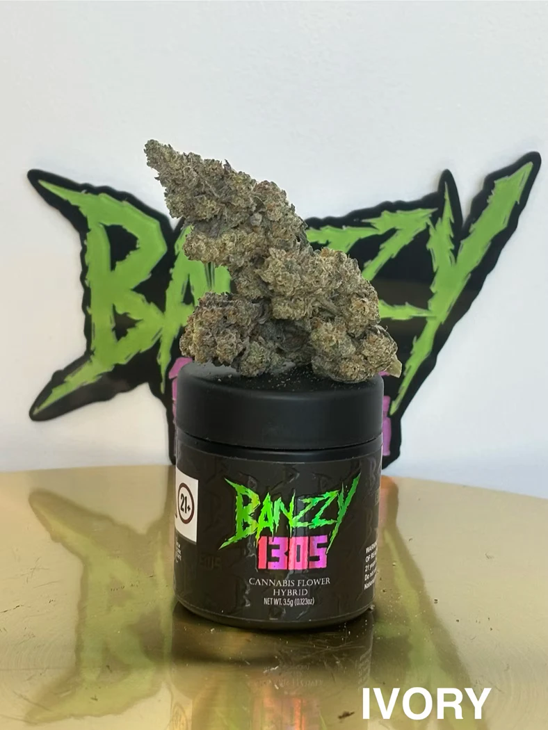Banzzy 1305 - Ivory | Flower | 3.5g | Banzzy Main Image