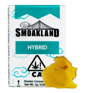 Smoakland - SMOAKLAND Shatterz | Juicy Fruit 1g [H] THC%92.0