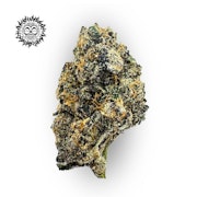 Smurfette's Panties Bulk Flower - EFF! (FIRE ISLAND)