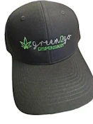 Merch - Green 2 Go Snapback Hat