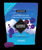Garden Society Snoozeberry THC:CBD:CBN Gummies