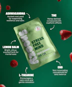 Stress Free Mind' Strawberry Relief Gummies 20pk