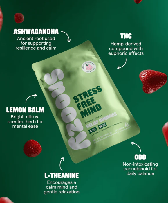 SNOOZY - Stress Free Mind' Strawberry Relief Gummies 20pk Main Image