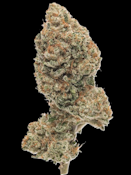 Snowday - Buds