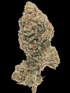 Rollz - Snowday - Buds