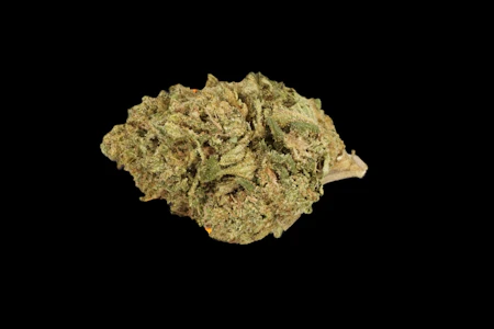 Rollz - Snow G - Buds