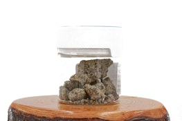 Snow Balls | Gelato 55% THC 3.5g | Infused Flower