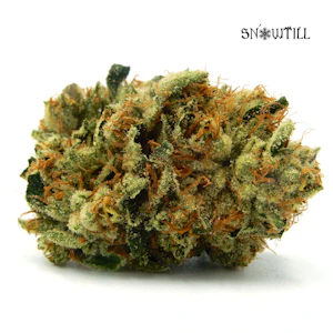 Snowtill - Official Gangster - 3.5g (I) - Snowtill