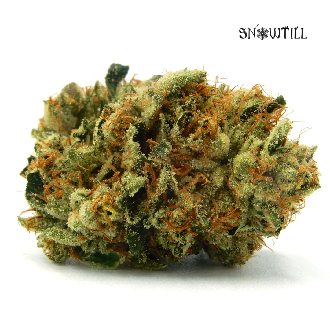 Snowtill - Official Gangster - 3.5g (I) - Snowtill Main Image