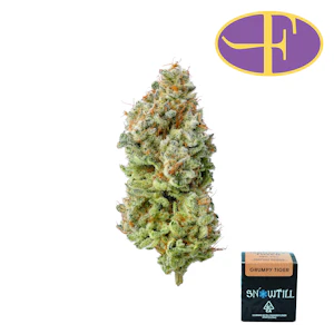 Snowtill - Grumpy Tiger