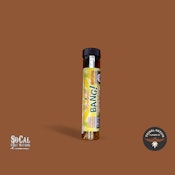 Chief Stick 1g Shatter Infused Blunt-Pineapple Bang