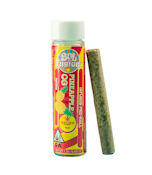 Sol Fusion | Pineapple OG | Infused | Single