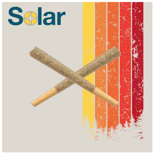 SOLAR THERAPEUTICS - Punchberry Cookies RBX PreRoll 5 Pack - 2.5g - SOL
